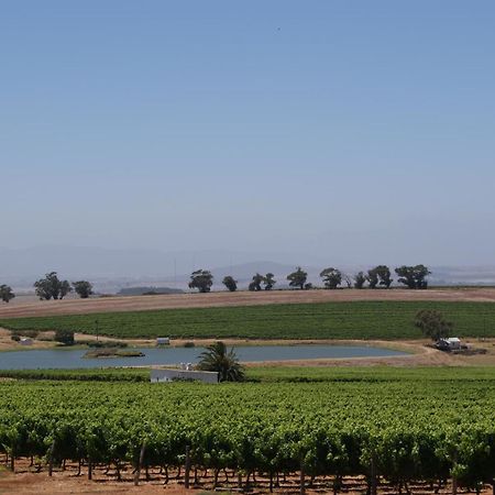 Meerendal Boutique Hotel Durbanville Ngoại thất bức ảnh