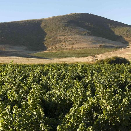 Meerendal Boutique Hotel Durbanville Ngoại thất bức ảnh