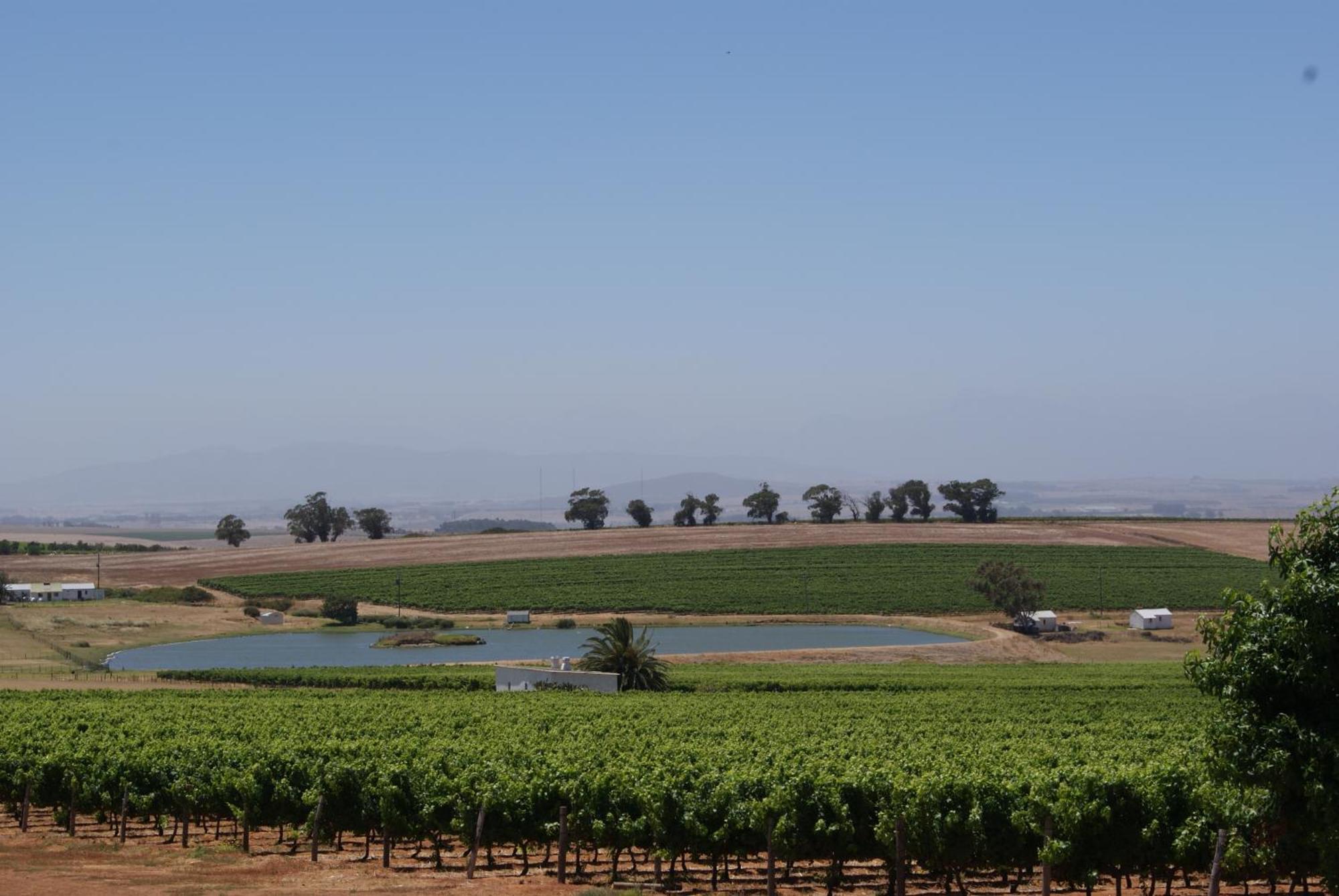 Meerendal Boutique Hotel Durbanville Ngoại thất bức ảnh
